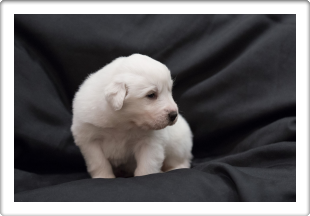 Capture One Session0312